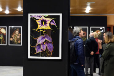 Exposició de Palau de la Música