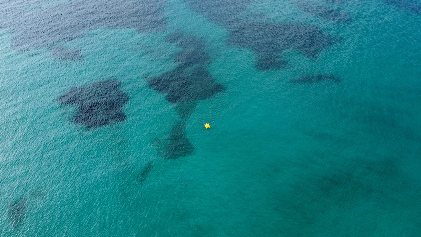 Robot de Seabots recogiendo datos sobre una pradera de posidonia.