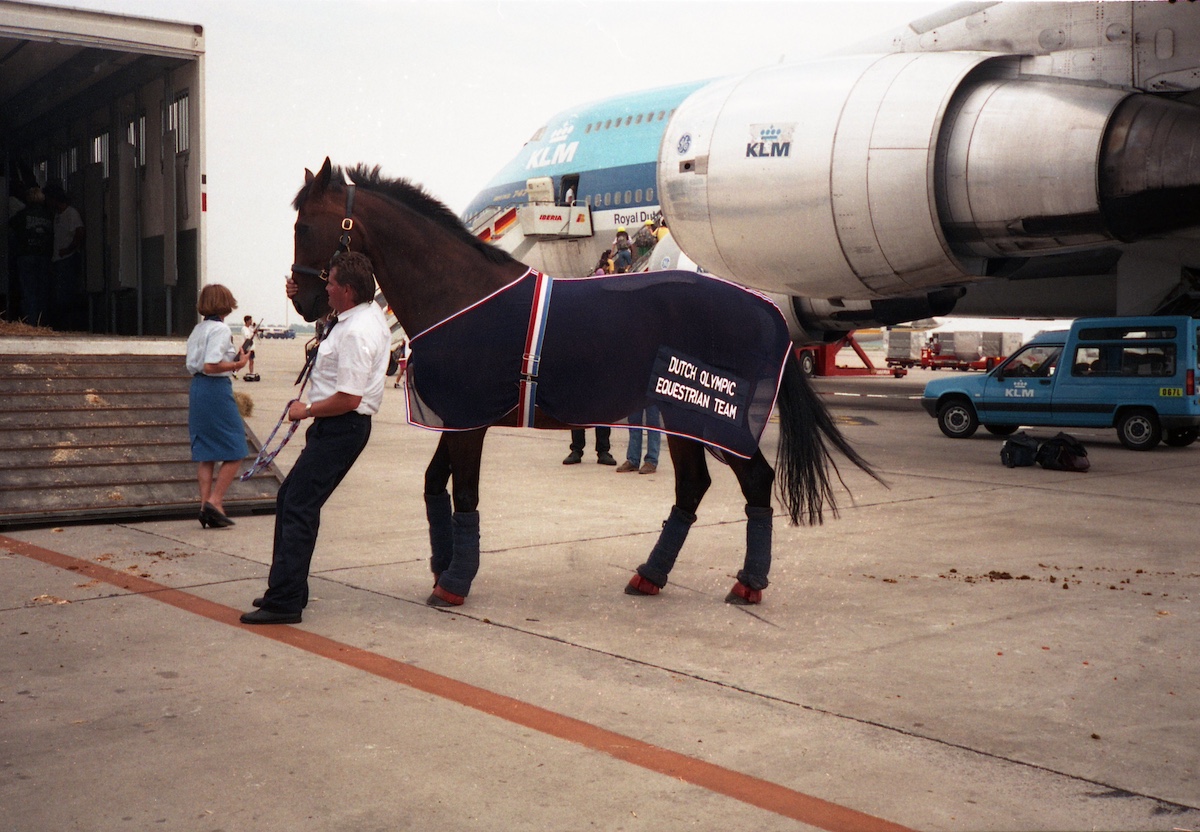 Caballos Juegos Olímpicos