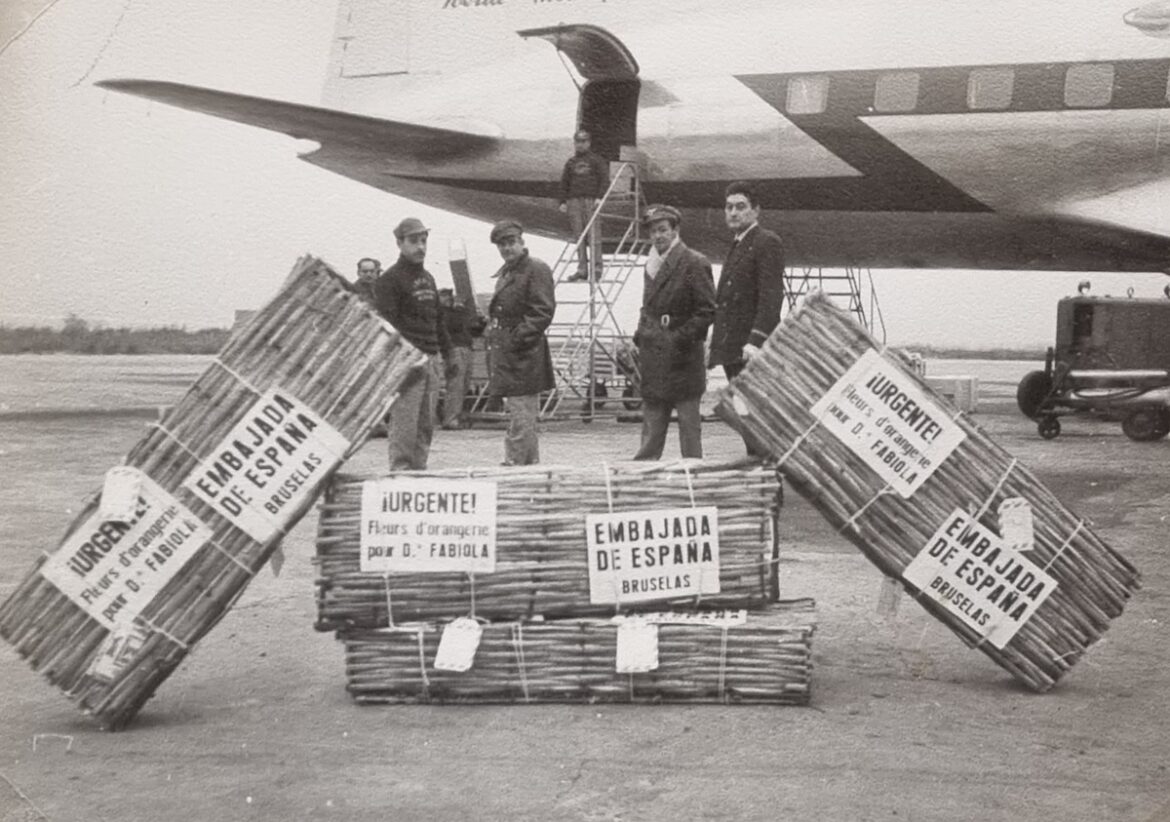 Transporte de flores