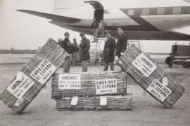 Transporte de flores