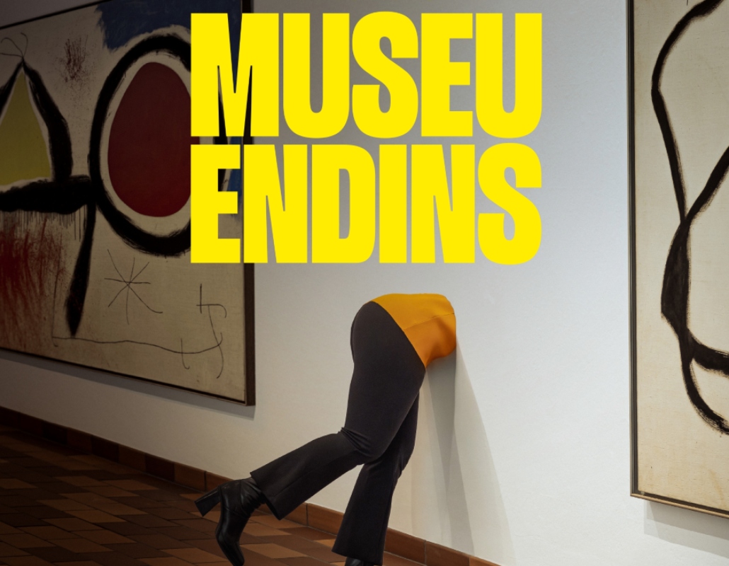 Jornada Museu Endins. 